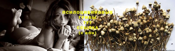 молекула духа Алексин